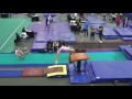 Olivia Greaves - Vault - 2017 Level 10 Regionals - Region 7