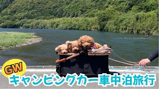 【GW高知】鰹と芋天を堪能！犬連れ４泊キャンピングカー車中泊旅行