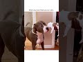 Hilarious Mama Dog Freaks Out After Meeting Puppy!