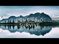 don diablo survive