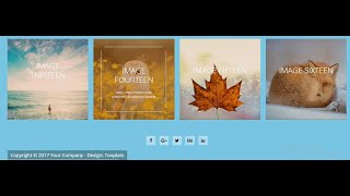 ART AND PHOTO GALLERY USING HTML , CSS & JAVASCRIPT