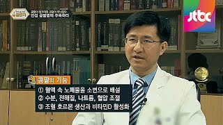 콩팥이 망가지면 건강이 무너진다?! 약이 되는 정보 꿀단지 27회