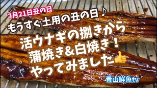 【ウナギの捌き方】【土用の丑の日】【ウナギ蒲焼き】【愛知県一色産ウナギ】ウナギを捌きから！蒲焼き\u0026白焼き💕やってみました👍