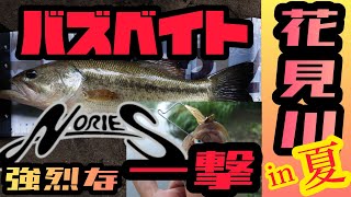 2021年 夏！ 印旛沼 水系 新川・花見川釣行 ！バズベイトでトップゲーム！ バス釣り BASSfishing