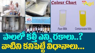 Milk Chilling and Storage | పాలలో కల్తీ ఎన్ని రకాలు..? వాటిని కనిపెట్టే విధానాలు..!!  Tone Agri