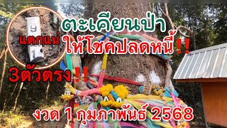 ตะเคียนป่าให้โชค 3 ตัวตรงๆ 🇹🇭 งวด 1 กุมภาพันธ์ 2568