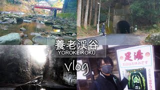 【ぼっちVlog】ローカル線で行く冬の養老渓谷で徒歩ぶらり旅【千葉県】