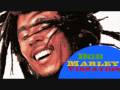 Bob Marley Stir It Up (BobMarleyVibration)