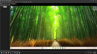 How to setup a VM for Kernel Debugging