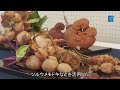 茨城県芸術祭　いけばな展　バラエティーに富んだ作品披露