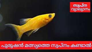 പുരുഷൻ മീൻ സ്വപ്നം കണ്ടാൽ|meen swapnam kandal