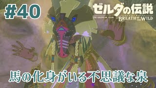 すみません、これからは馬乗れたら乗ります#40【ゼルダの伝説 ブレス オブ ザ ワイルド】