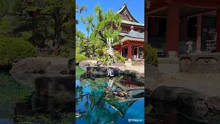 甲斐善光寺🐉鳴き龍 #龍神様 #スピリチュアル #武田信玄 御朱印も♪