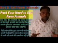 perambalur buy u0026 sale farm animals ♧ cow buffalo sheeps  घर बैठें गाय भैंस खरीदें बेचें..