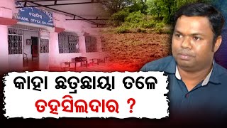 କାହା ଛତ୍ରଛାୟା ତଳେ ତହସିଲଦାର ?  | Odisha Reporter