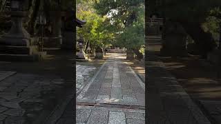 京都十六社朱印めぐり2025『御霊神社』 #御霊神社　#京都 #京都巡り