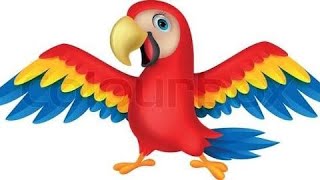 How to draw a parrot for children | learning arts for kids toddlers