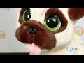 furreal friends j.j. my jumpin pug dog instructions and demo hasbro pet toys