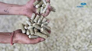 Ronak Engineering's Biomass Pellet Machine Will CHANGE The Game