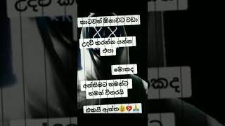 දන්නෙම  නැතුව  කෙලවෙනවා..🤕