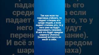 В чём больше греха в порочении учёного или простого человека?