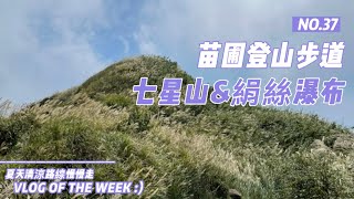 搭公車去爬山｜台灣小百岳｜七星山苗圃登山步道｜絹絲瀑布｜夏日清涼步道｜陽明山遊客中心｜陽明山東西大縱走證書