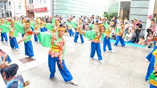 帯屋町筋ジュニア隊　高知よさこい祭り 2019 本祭1日目　帯屋町演舞場