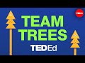 Let’s plant 20 million trees together! #TeamTrees