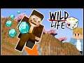 My FIRST Death!!  -  Wild Life SMP: Episode 1