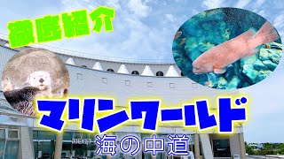 【観光】営業が再開した「マリンワールド海の中道」へ行ってきました！料金や行き方、見所などをご紹介します！