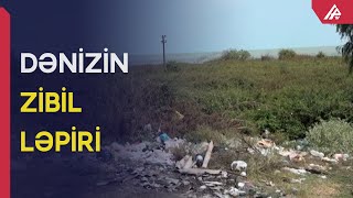 Xəzərin yiyəsiz sahili: “İt nədir, çaqqallar ulaşır” – APA TV