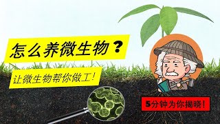 教你养好 微生物 让它们帮你 壮树 做工！【5分钟看懂如何正确使用 微生物肥料】