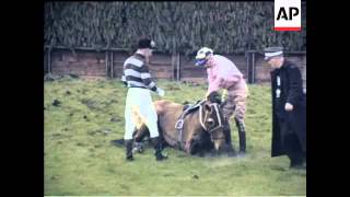 AINTREE  - GRAND NATIONAL BY NAME  - COLOUR