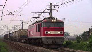 【信越本線】 4059ﾚ　EF510-18+コキ 2013.8.17