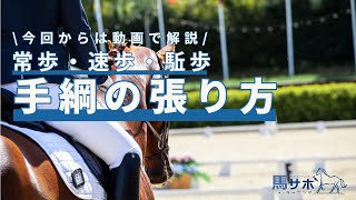 【具体策】乗馬でいつでもどこでも手綱を張る方法とは！？　～常歩・速歩・駈歩で解説～