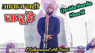 Qasida Burda Sharif | Mohammad Ali Faizi | Maula Ya Salli Wa Sallim | Chakmal Sharif