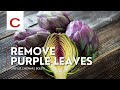 Remove Purple Leaves | Chef Lee Chizmar | Tips #shorts