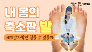 [와놀터사이언스]내 몸의 축소판 발! 새끼발가락만 접을 수 없는 이유/발의 구조와 역할