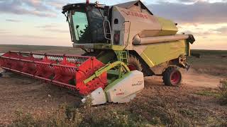 Робота на пару рублів. Комбайн CLAAS Tucano 440 #claas #tucano