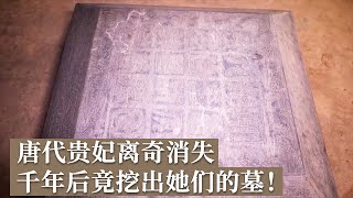 两座古墓破解大唐宫廷奇案！唐代贵妃竟在死亡13年后才被安葬 壁画吐露千年前的秘密！ 《探索·发现》唐安国相王孺人墓 丨 中华国宝