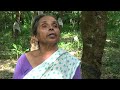 sanchari at shoolappu kavu സഞ്ചാരി ശൂലാപ്പ് കാവില്‍ 29 sep 2016