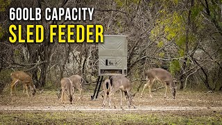 The NEW Boss Buck Sled Feeder