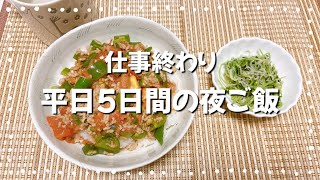 平日5日間の夜ご飯/一人暮らし/一口コンロ