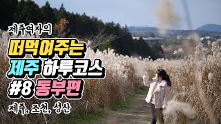 떠먹여주는 겨울 제주도 하루코스 #8 동부편 (조천/성산)