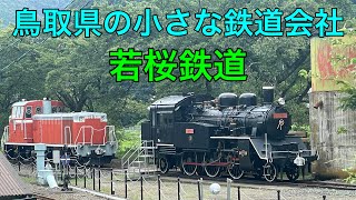 【第三セクター】若桜鉄道に乗って来た　#若桜鉄道#ローカル線 #智頭急行