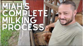 Home Dairy 101 (Our Complete Dairy Cow Process)