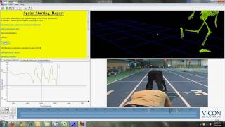 Vicon motion capture using POLYGON - Sprinter