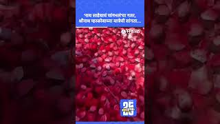 Pune News: वीरच्या श्रीनाथ म्हस्कोबाच्या यात्रेची सांगता... | Veer | Purandar | Yatra | Marathi News