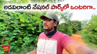 Proddatur Parklo Walking | Telugu Vlog | Sri Rajiv Gandhi National Park Proddatur | Chai Bucket