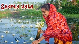 Bengali Delicious Shapla Vala Recipe In My Village Kitchen | bengali Village village food